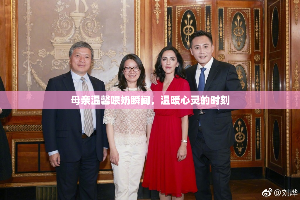 母亲温馨喂奶瞬间，温暖心灵的时刻