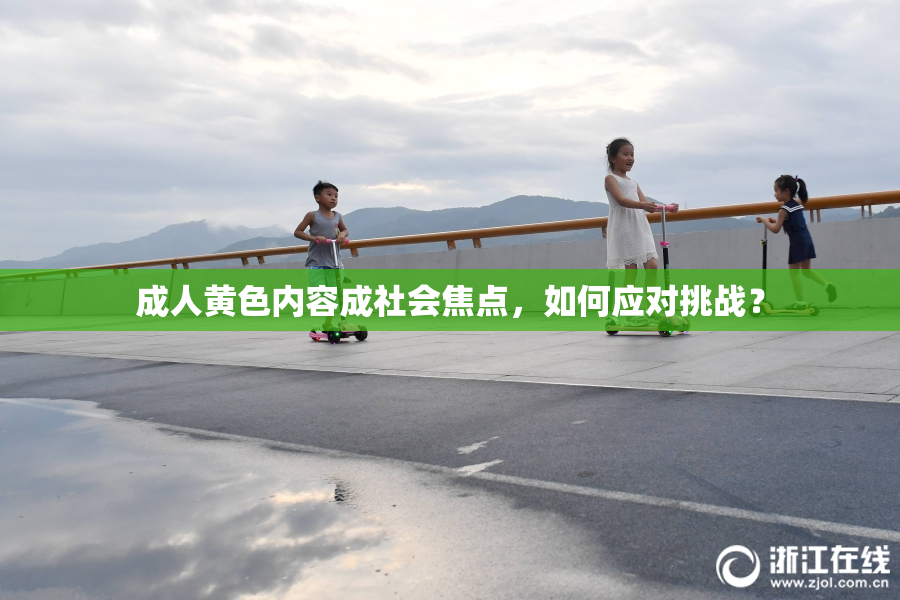 成人黄色内容成社会焦点，如何应对挑战？