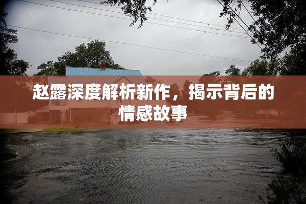 赵露深度解析新作，揭示背后的情感故事