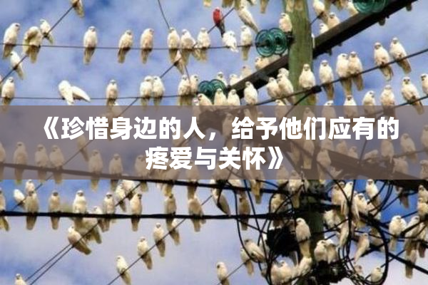《珍惜身边的人，给予他们应有的疼爱与关怀》