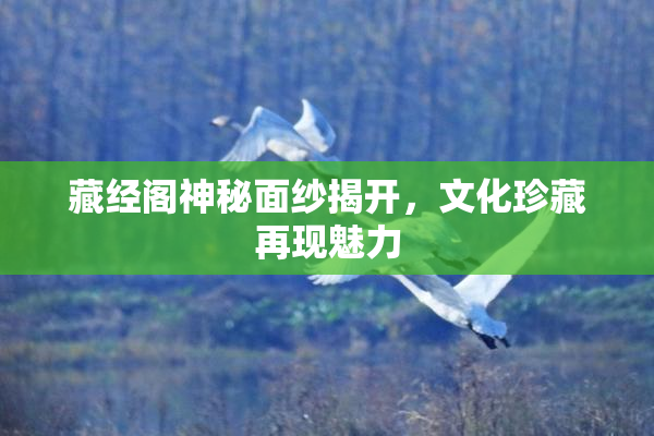 藏经阁神秘面纱揭开，文化珍藏再现魅力