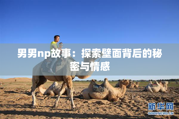 男男np故事：探索壁面背后的秘密与情感