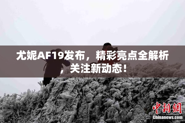 尤妮AF19发布，精彩亮点全解析，关注新动态！