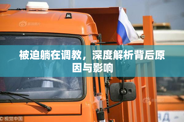 被迫躺在调教，深度解析背后原因与影响