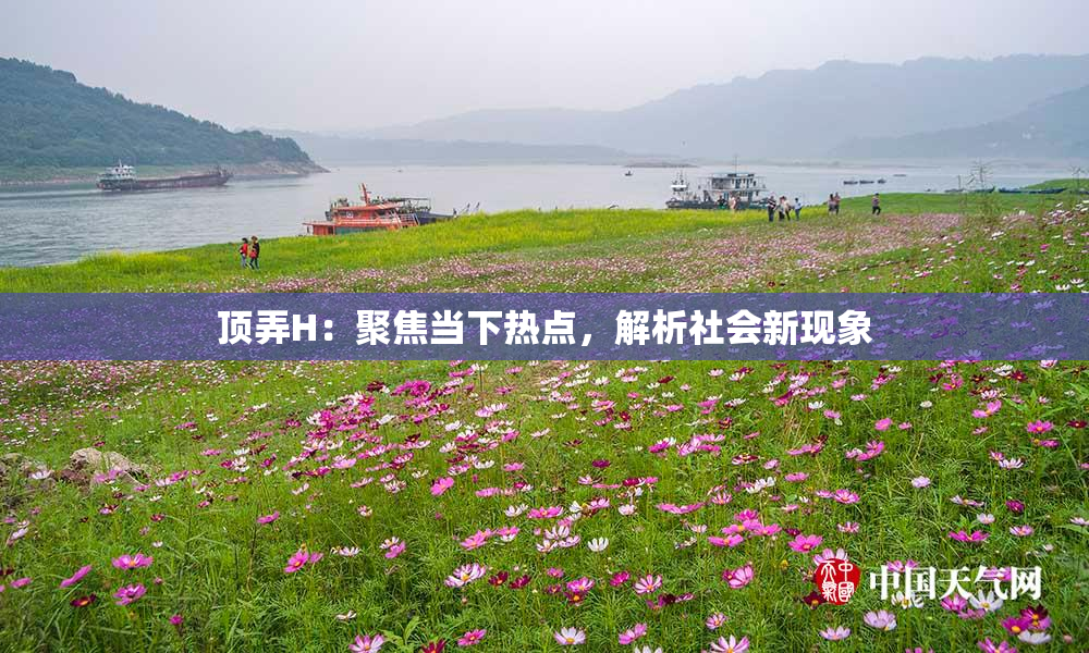 顶弄H：聚焦当下热点，解析社会新现象