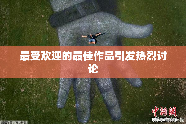 最受欢迎的最佳作品引发热烈讨论