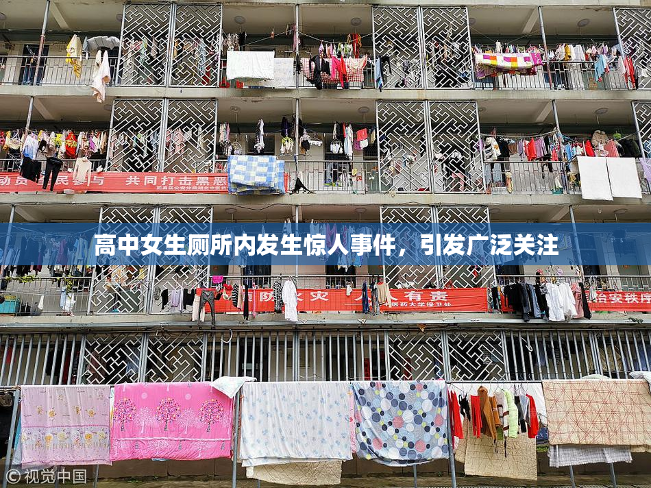 高中女生厕所内发生惊人事件，引发广泛关注