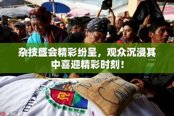 杂技盛会精彩纷呈，观众沉浸其中喜迎精彩时刻！