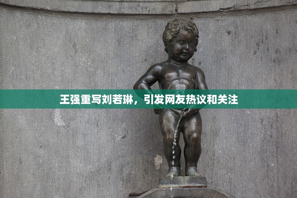 王强重写刘若琳，引发网友热议和关注