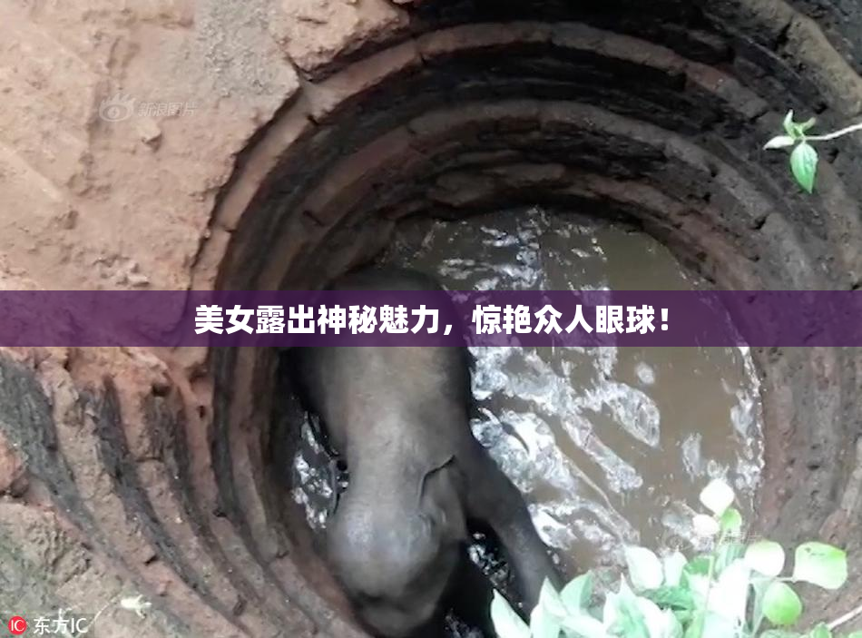 美女露出神秘魅力，惊艳众人眼球！