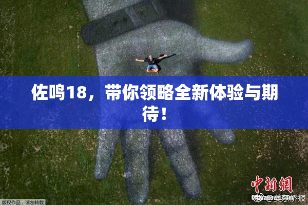 佐鸣18，带你领略全新体验与期待！