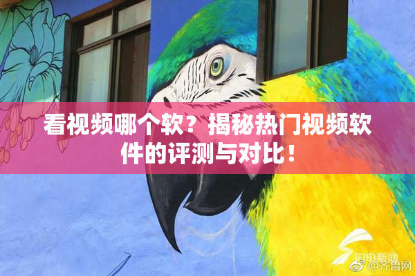 看视频哪个软？揭秘热门视频软件的评测与对比！