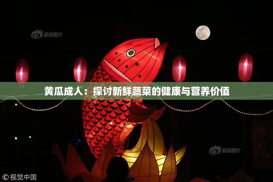 黄瓜成人：探讨新鲜蔬菜的健康与营养价值