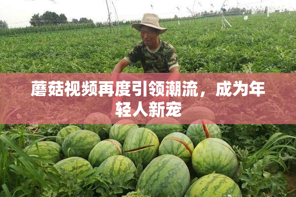 蘑菇视频再度引领潮流，成为年轻人新宠