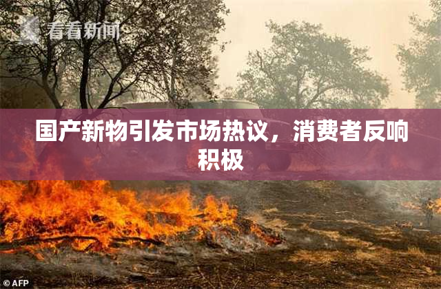 国产新物引发市场热议，消费者反响积极