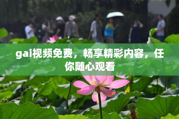 gai视频免费，畅享精彩内容，任你随心观看