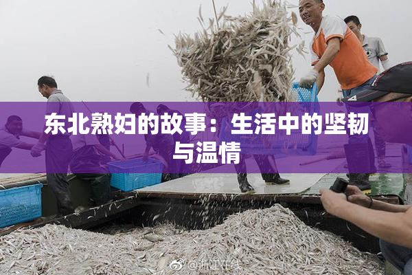 东北熟妇的故事：生活中的坚韧与温情