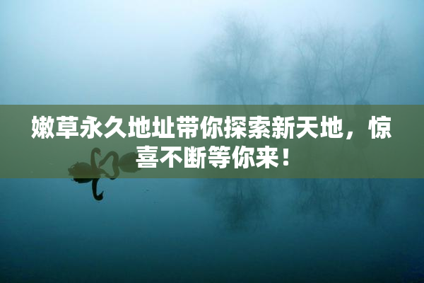 嫩草永久地址带你探索新天地，惊喜不断等你来！