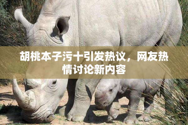 胡桃本子污十引发热议，网友热情讨论新内容