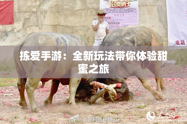 拣爱手游：全新玩法带你体验甜蜜之旅
