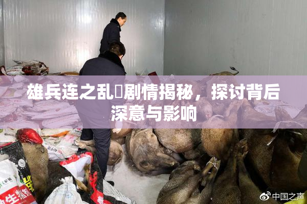 雄兵连之乱婬剧情揭秘，探讨背后深意与影响