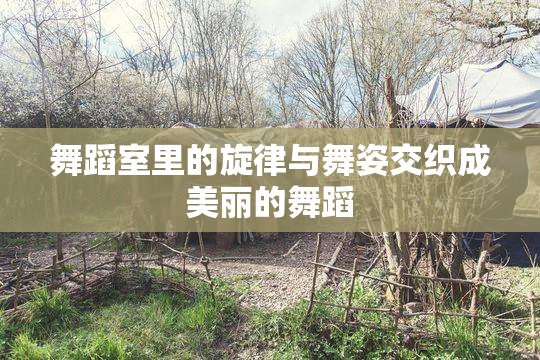 舞蹈室里的旋律与舞姿交织成美丽的舞蹈
