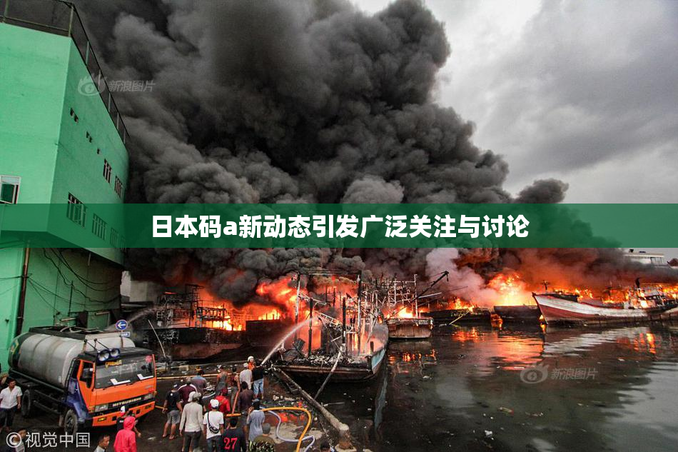 日本码a新动态引发广泛关注与讨论