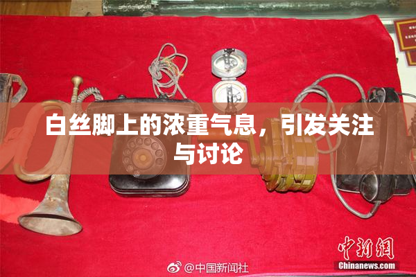 白丝脚上的浓重气息，引发关注与讨论