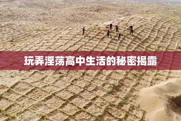 玩弄淫荡高中生活的秘密揭露
