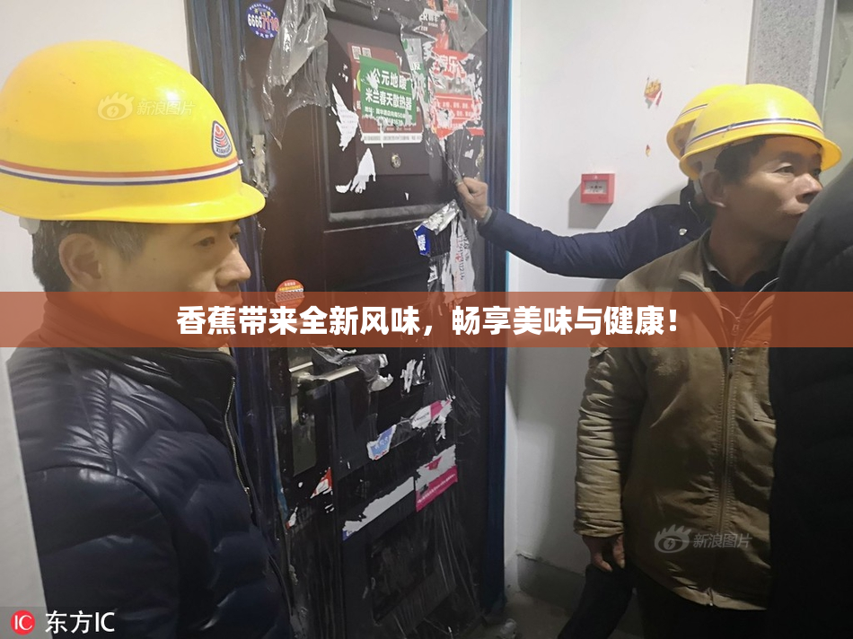 香蕉带来全新风味，畅享美味与健康！