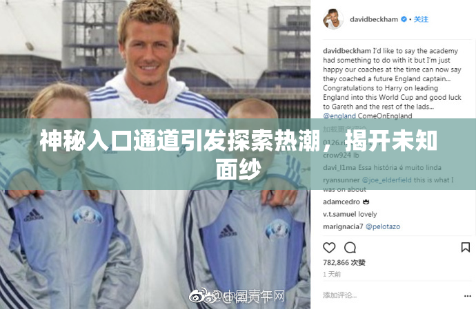 神秘入口通道引发探索热潮，揭开未知面纱