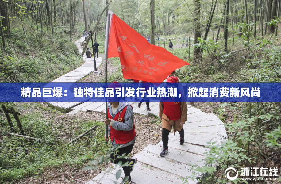 精品巨爆：独特佳品引发行业热潮，掀起消费新风尚