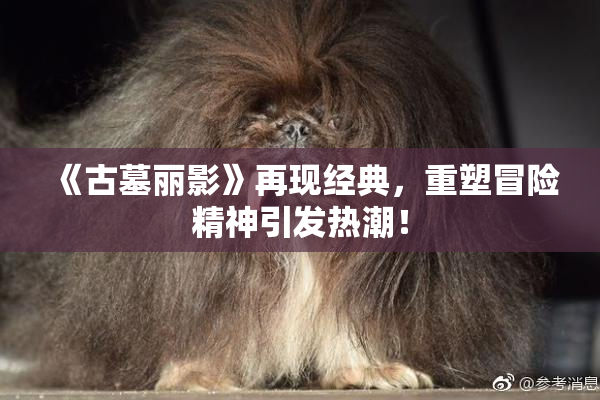 《古墓丽影》再现经典，重塑冒险精神引发热潮！