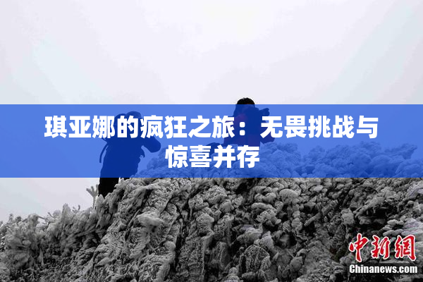 琪亚娜的疯狂之旅：无畏挑战与惊喜并存