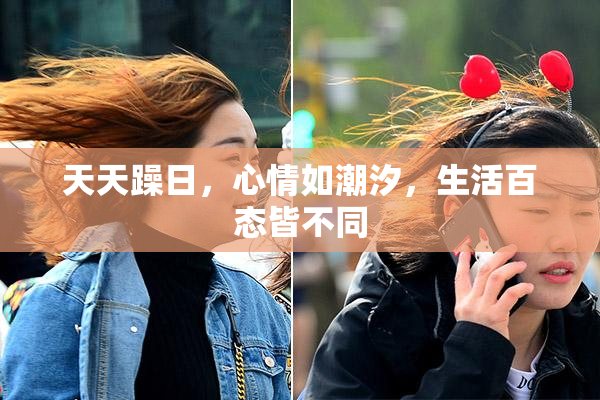 天天躁日，心情如潮汐，生活百态皆不同