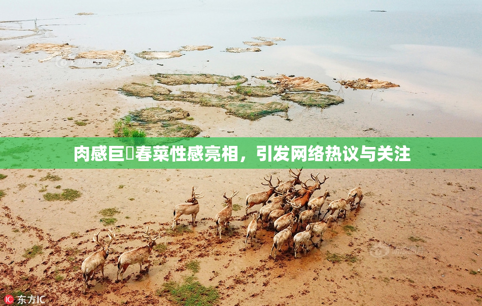 肉感巨凥春菜性感亮相，引发网络热议与关注