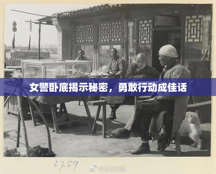 女警卧底揭示秘密，勇敢行动成佳话