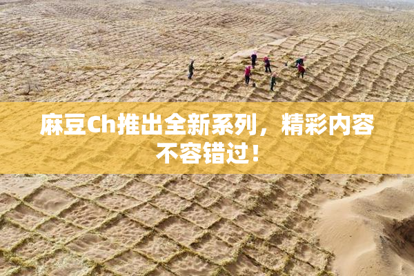 麻豆Ch推出全新系列，精彩内容不容错过！