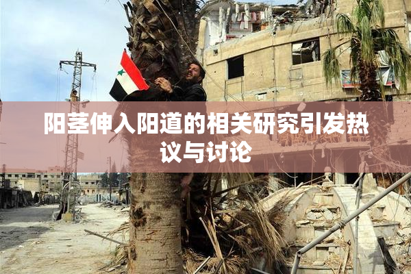 阳茎伸入阳道的相关研究引发热议与讨论