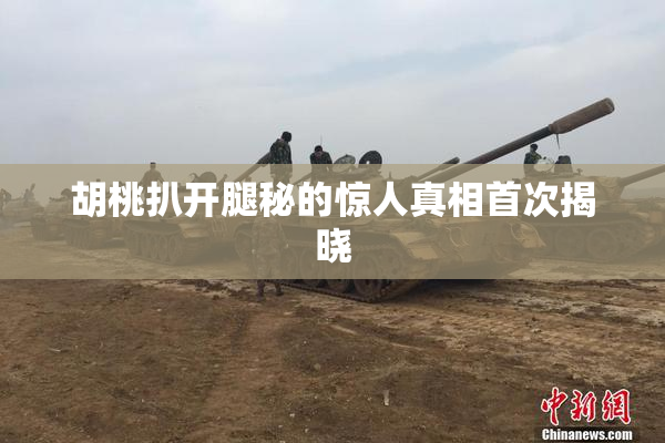 胡桃扒开腿秘的惊人真相首次揭晓