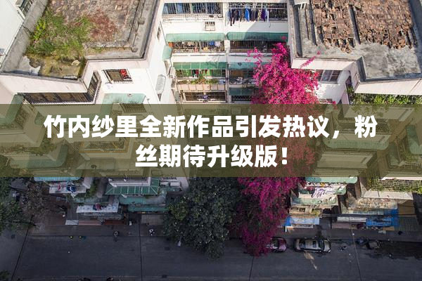 竹内纱里全新作品引发热议，粉丝期待升级版！