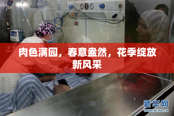 肉色满园，春意盎然，花季绽放新风采