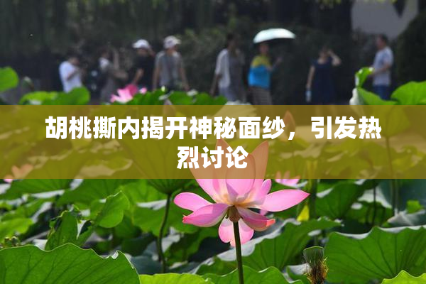 胡桃撕内揭开神秘面纱，引发热烈讨论