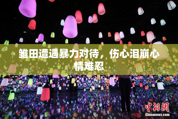雏田遭遇暴力对待，伤心泪崩心情难忍