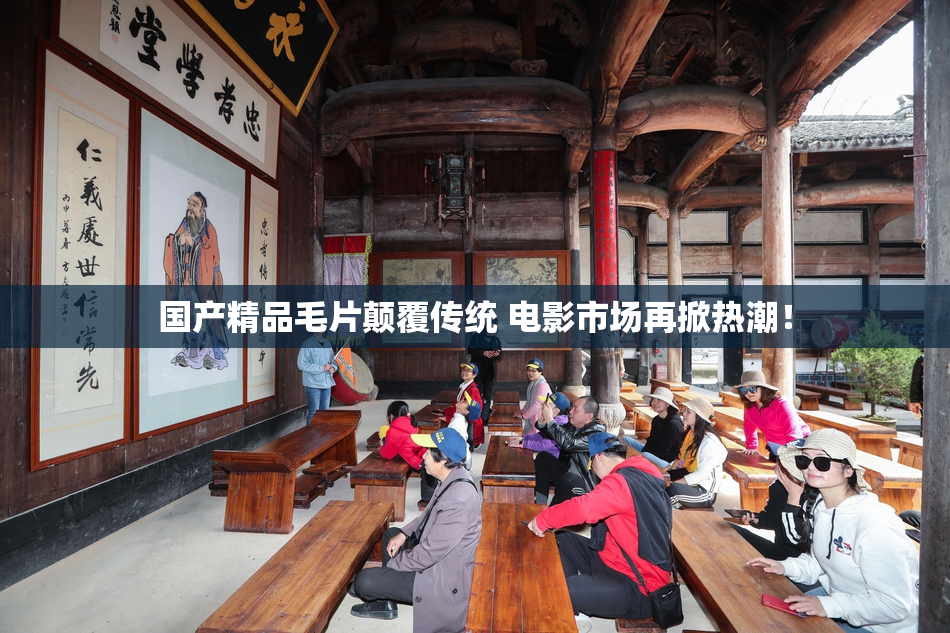 国产精品毛片颠覆传统 电影市场再掀热潮！