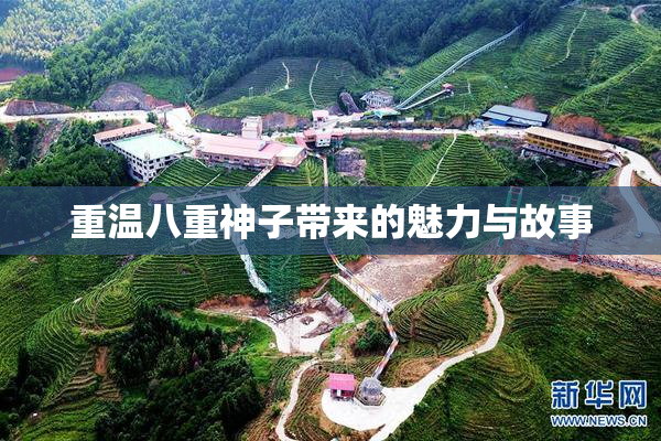 重温八重神子带来的魅力与故事