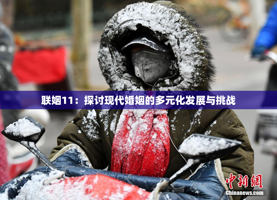 联姻11：探讨现代婚姻的多元化发展与挑战