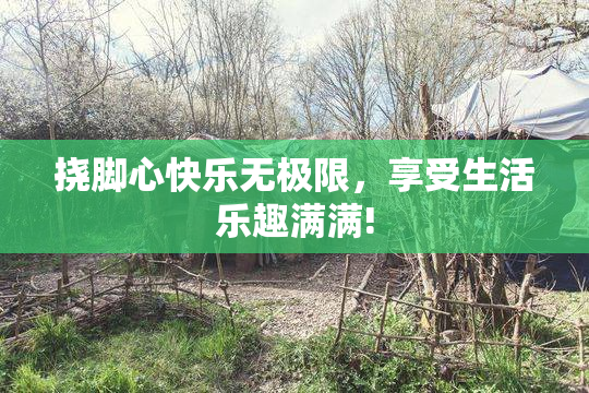 挠脚心快乐无极限，享受生活乐趣满满!