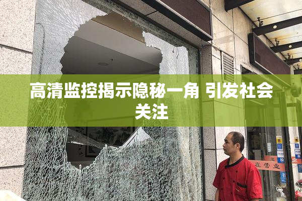 高清监控揭示隐秘一角 引发社会关注