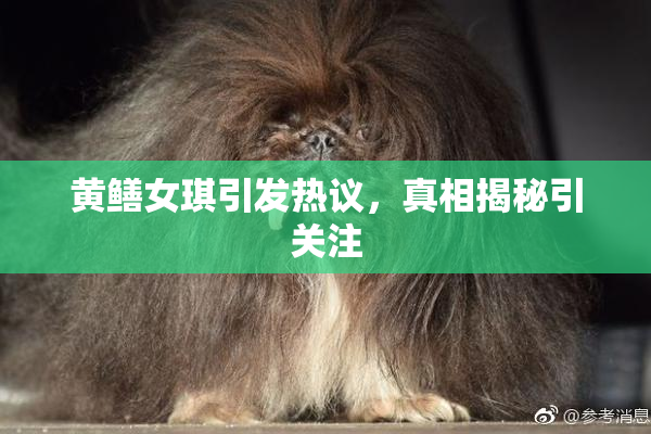 黄鳝女琪引发热议，真相揭秘引关注